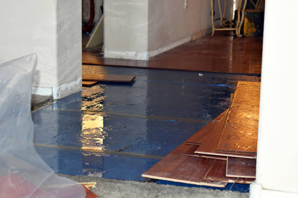 Professional Water Damage technician working in West Des Moines, IA